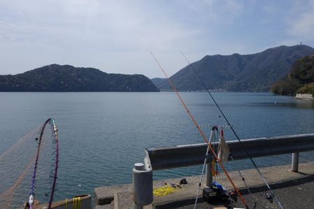 オカッパリで釣れる魚なんですね…