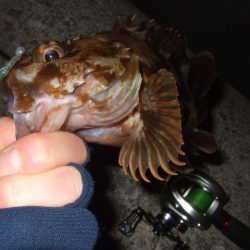 格安ベイトフィネスリールでメバル釣行に