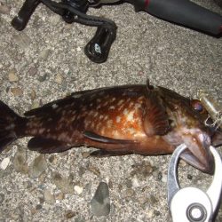 ベストシーズン到来