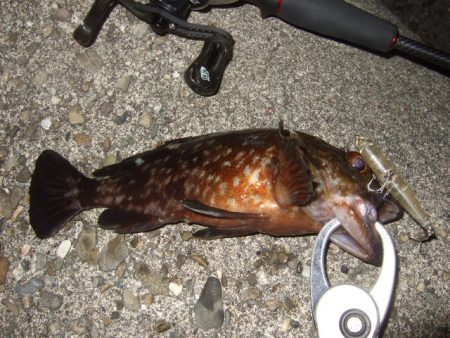 ベストシーズン到来