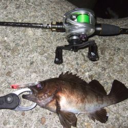 バチパターンからの変化