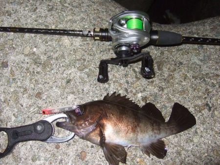 バチパターンからの変化