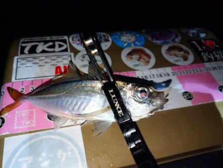 地元春アジ開幕2連勝