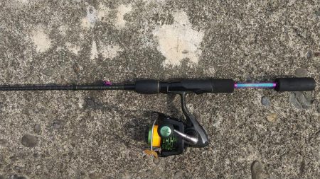 アジが釣れなくて、和歌山へ!