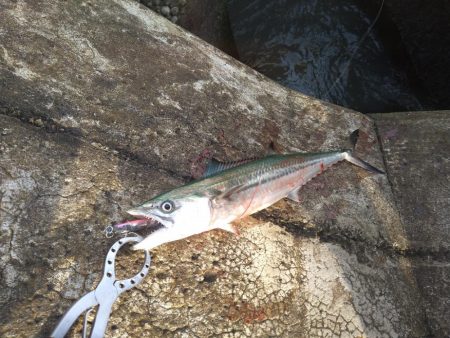 横風の中で流れに身を任せ…