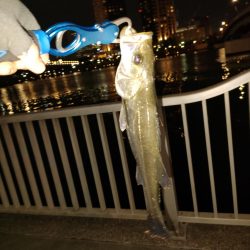 やっと釣れました！