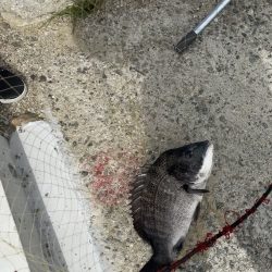 ★★のんびり釣行★★