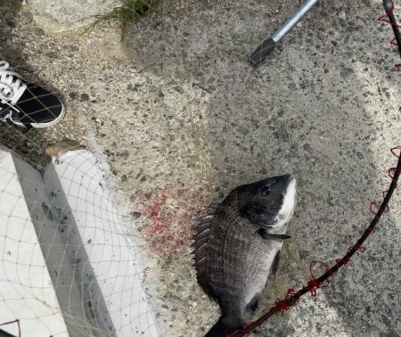 ★★のんびり釣行★★