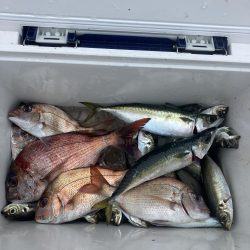 たかたかの釣り日記