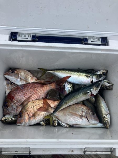 たかたかの釣り日記