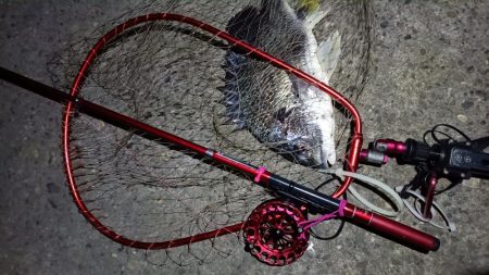 2024/04/13 南港ヘチ釣り釣行