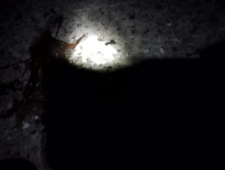 🐙３秒で一杯🐙