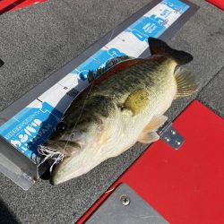 北山田サイト42cm