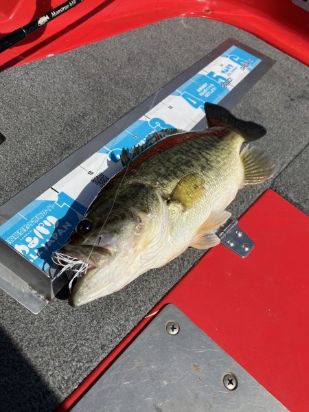 北山田サイト42cm