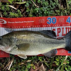 調子上がって来た