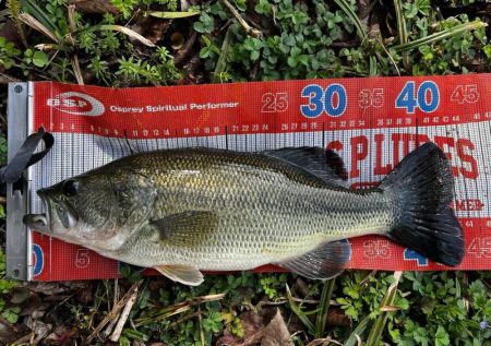 調子上がって来た