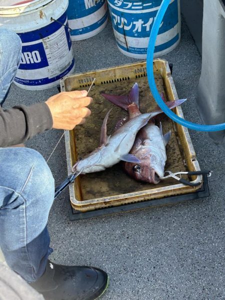 ディープタイラバとジギング