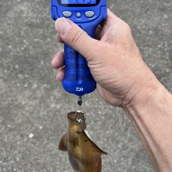 渋い展開で11時間