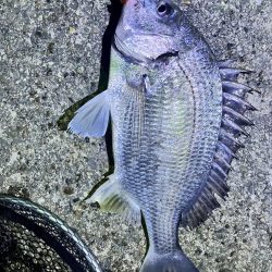 激渋の中タイムアップ直前に