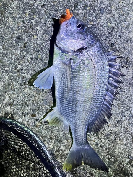 激渋の中タイムアップ直前に