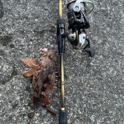 ガッシーちょいリベンジ