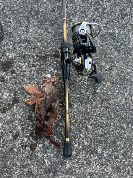 ガッシーちょいリベンジ