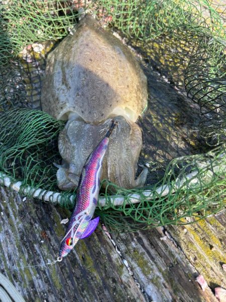 筏エギング最終日！