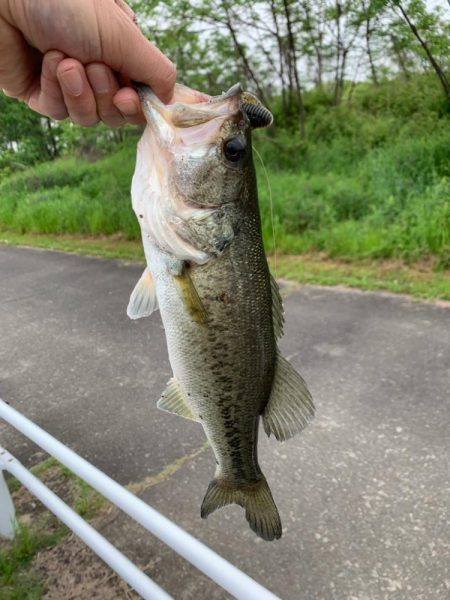 3匹の釣果です‼️