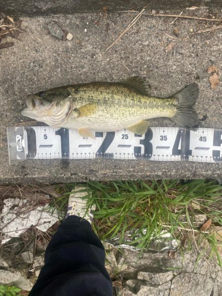 またまた早朝に