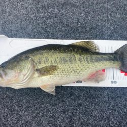 午前中ボート釣行!