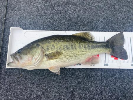 午前中ボート釣行!