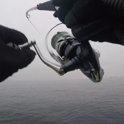 2024ライトゲーム第15戦