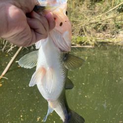 1日ボート釣行！