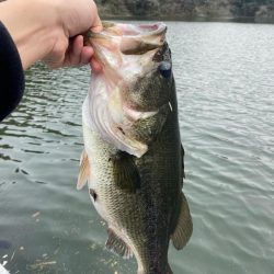 午後からボート釣行!