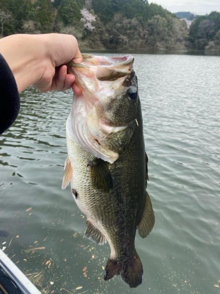 午後からボート釣行!