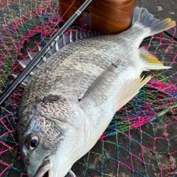 ヘチってきました