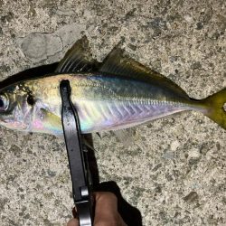 やっと雨も止んだので！