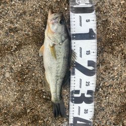 たくさん釣れました！！