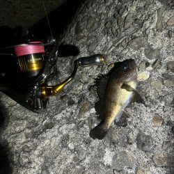 のんびりライトゲーム