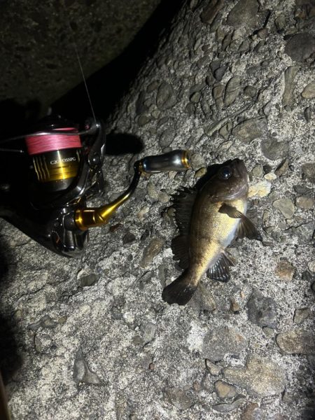 のんびりライトゲーム