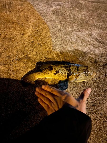 アジサイズアップ