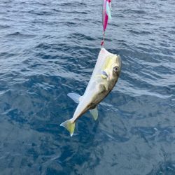 大物バラしました