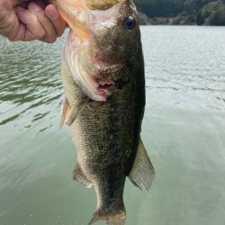 午前中ボート釣行！