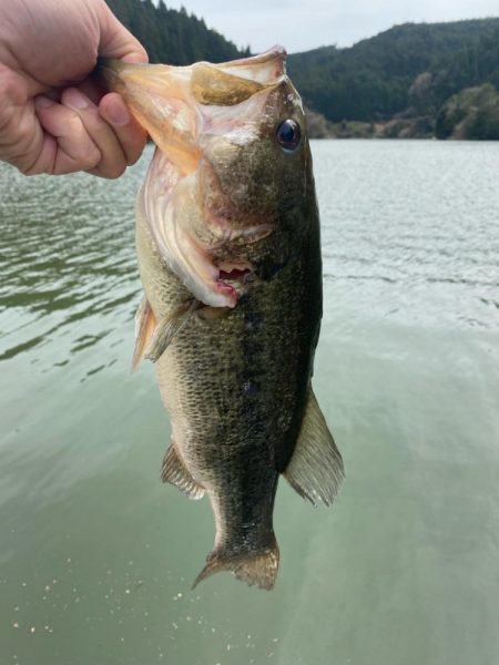 午前中ボート釣行！