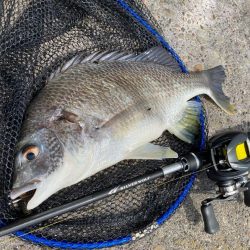 一日中彷徨い続け….