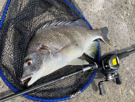 一日中彷徨い続け....