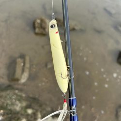 3ヶ月ぶりにデタ!