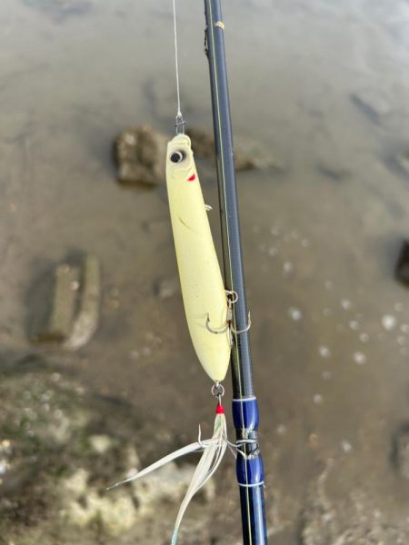 3ヶ月ぶりにデタ!