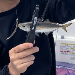 アンカリングのコツを知りたいw