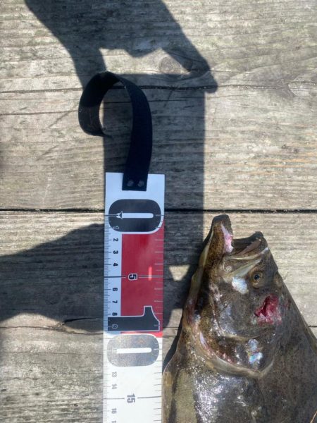 初めての筏釣り